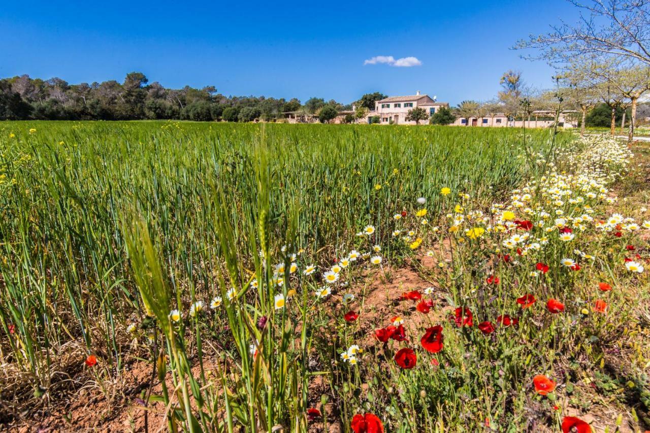 קמפוס Finca Agroturismo Sa Cova Den Borino מראה חיצוני תמונה